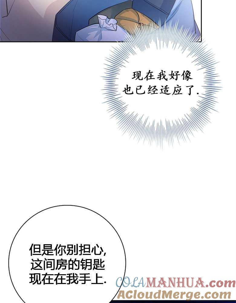 81.jpg