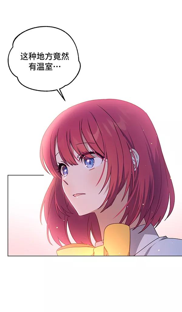 78.jpg