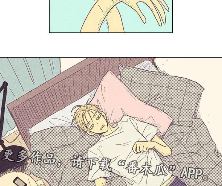 18.jpg