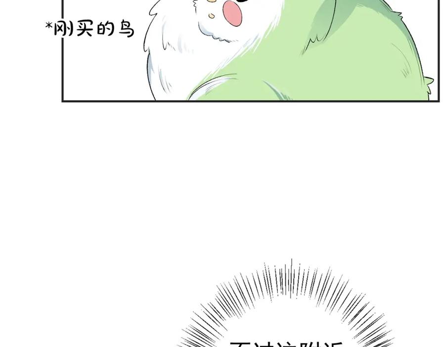 88.jpg