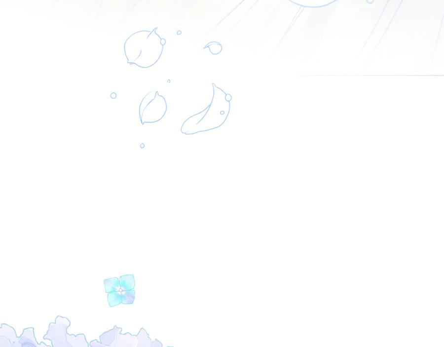 243.jpg