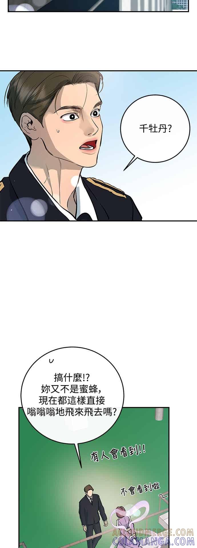52.jpg