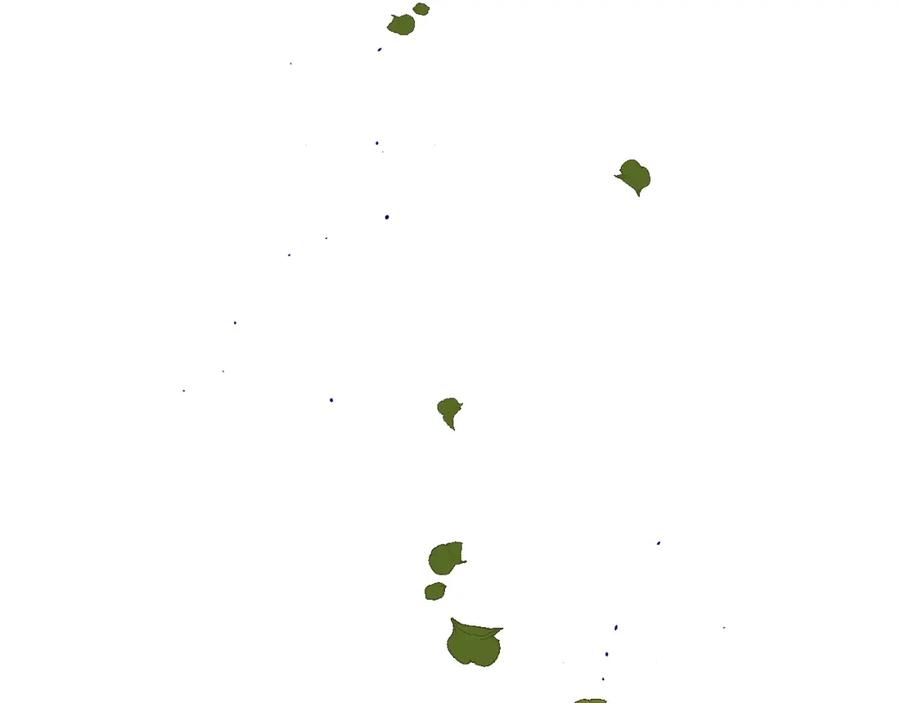 30.jpg