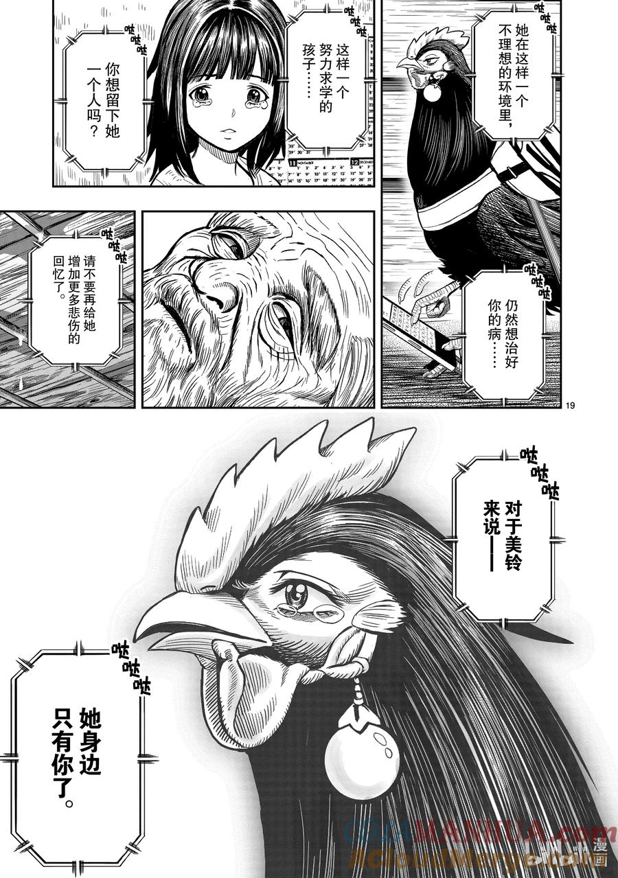 19.jpg