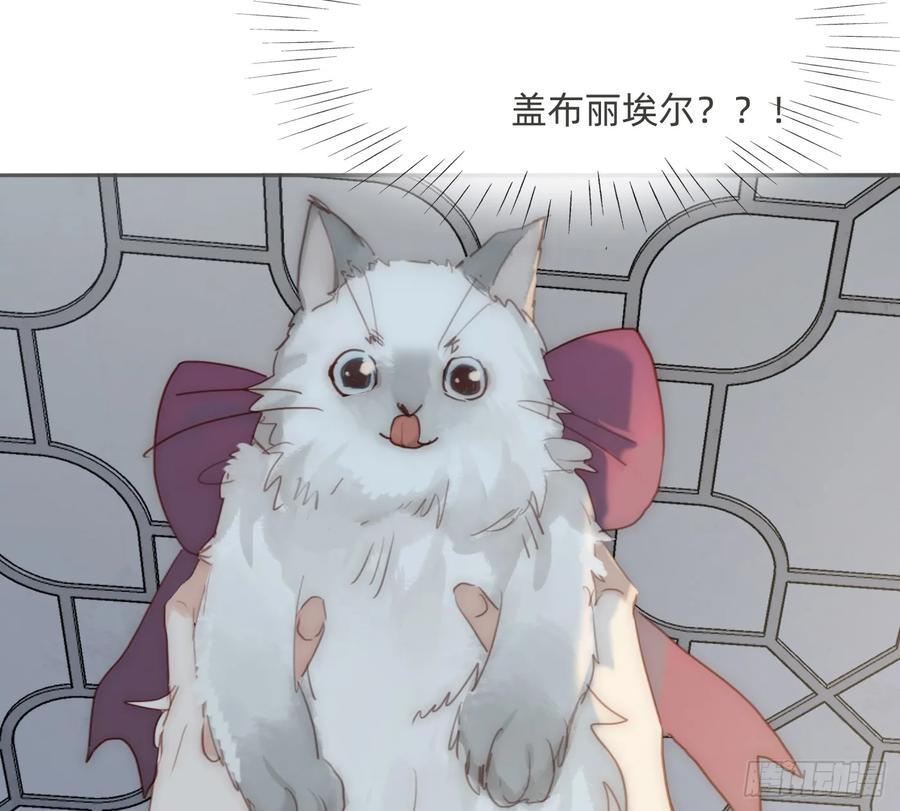 75.jpg