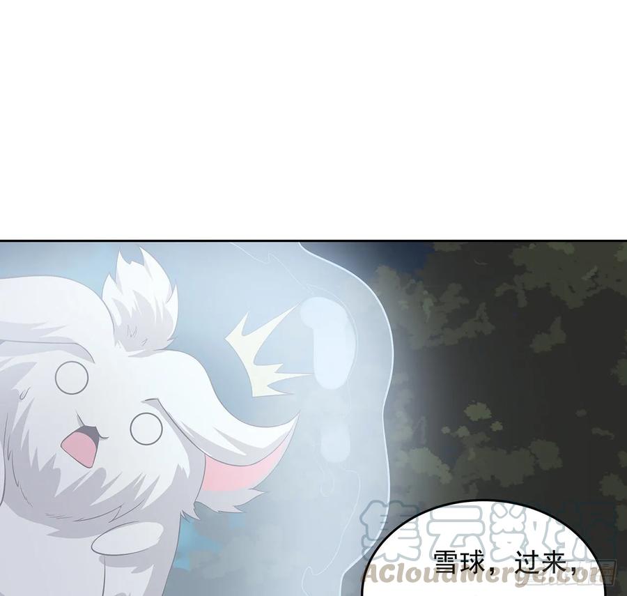 114话雪球之争-逆鳞-两只猫（第8张）