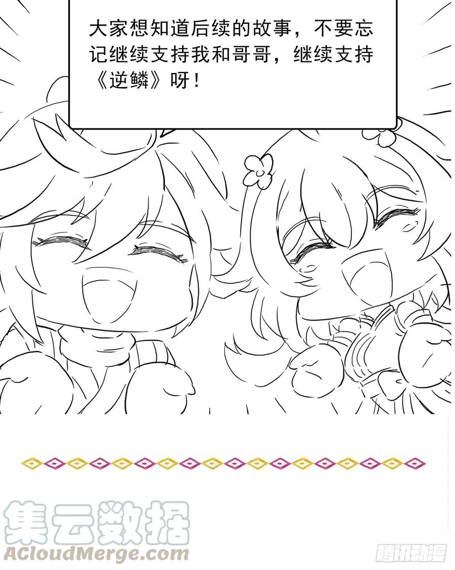 这是一个重要公告-逆鳞-两只猫（第4张）