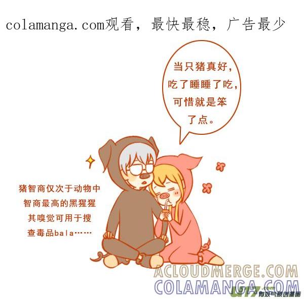 两只猪-全世界都在谈恋爱-二囬（第1张）