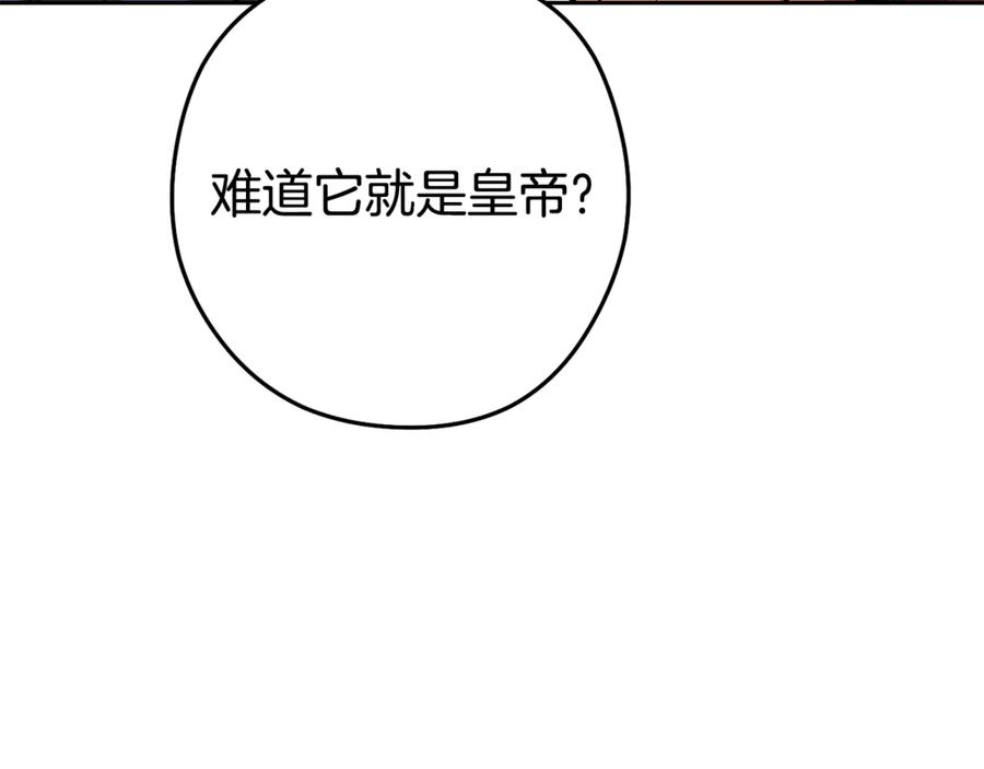 207.jpg