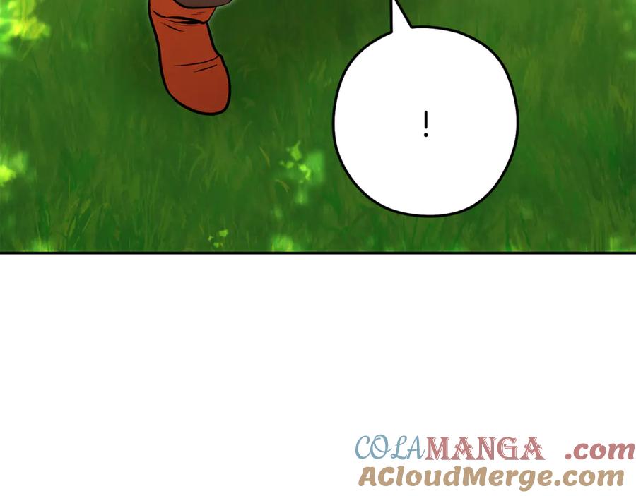 217.jpg