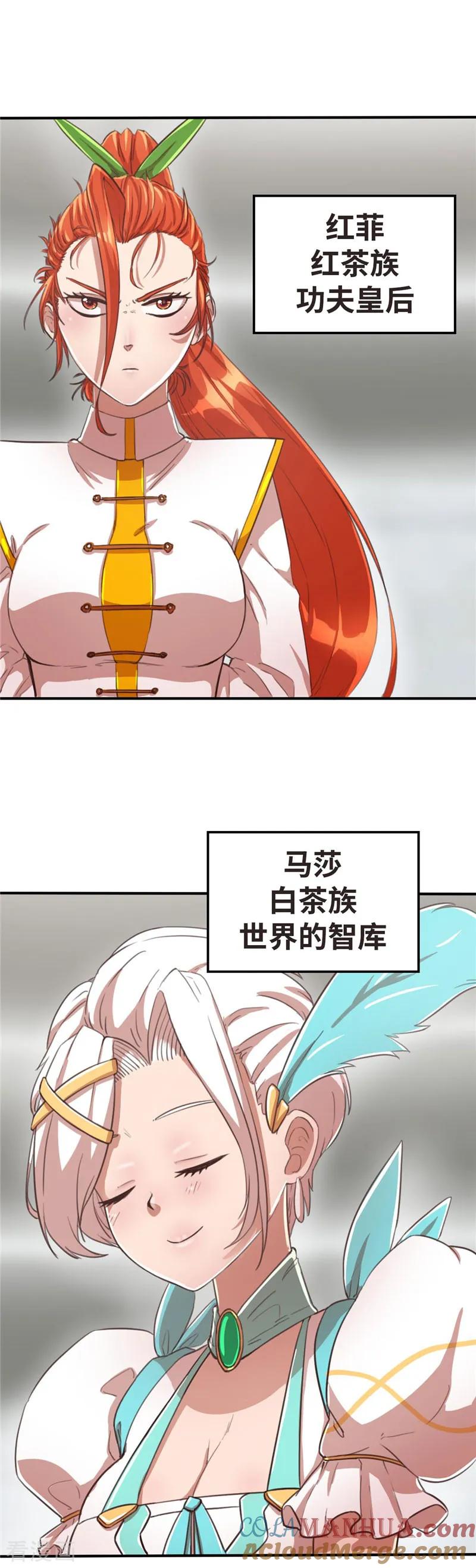 第83话那个戴斗篷的-茶叶少女-阿柯文化（第15张）