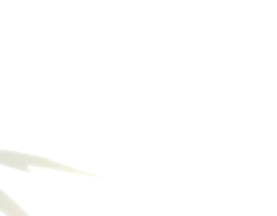 88.jpg