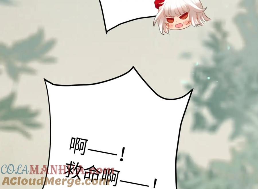 121.jpg