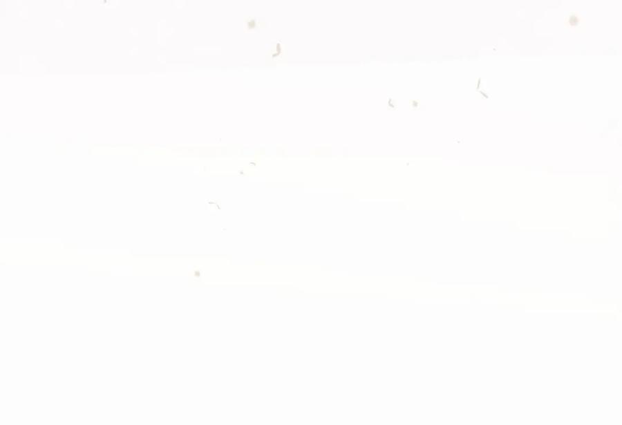 115.jpg