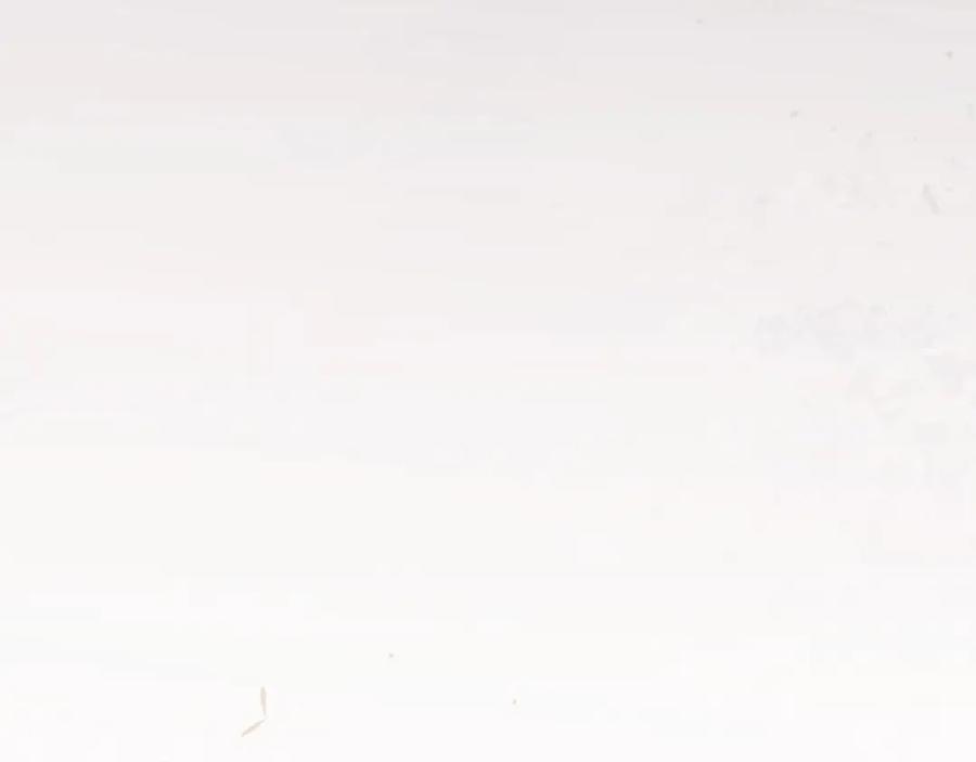 114.jpg