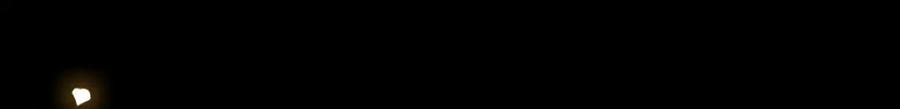 81.jpg