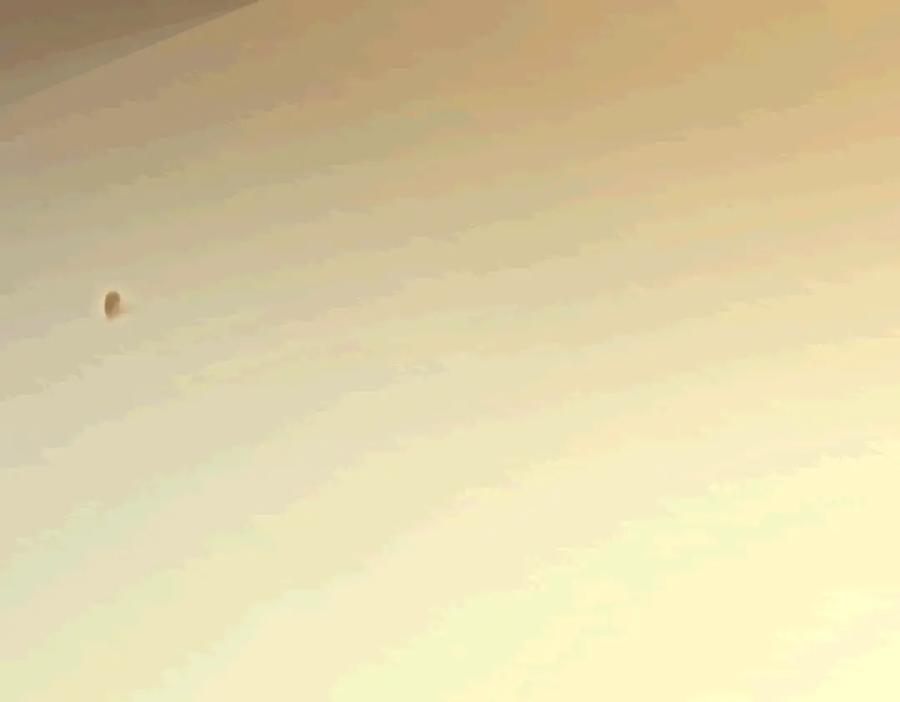 155.jpg