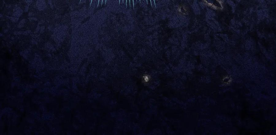 143.jpg