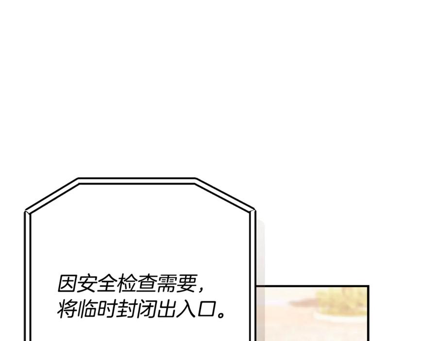 211.jpg