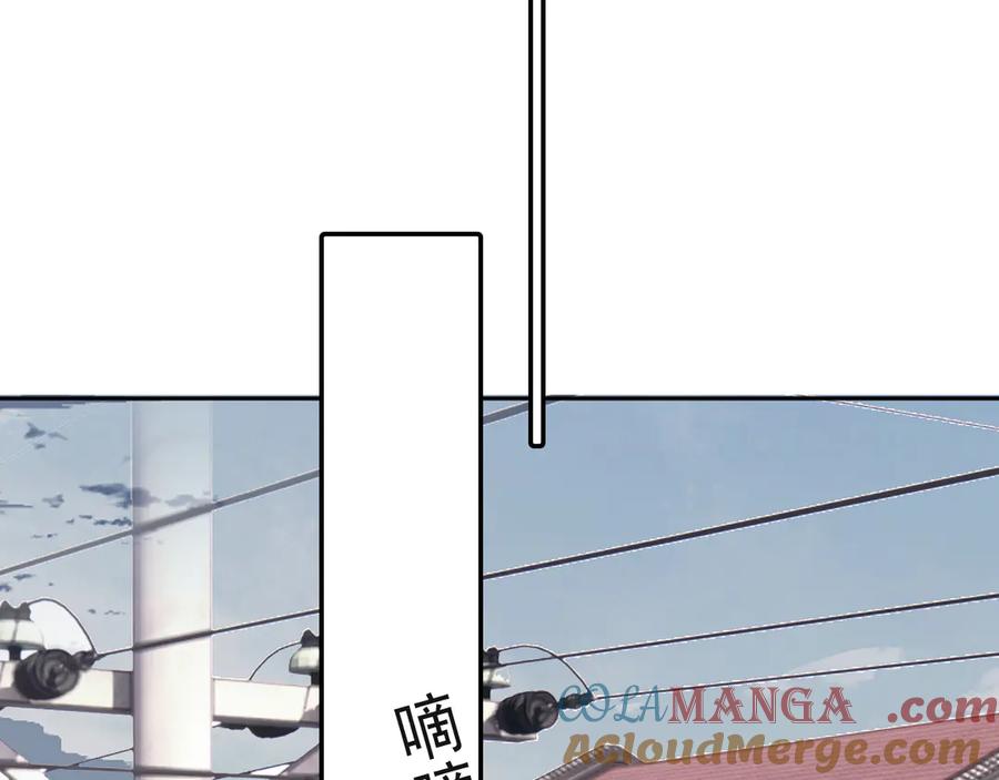 85.jpg