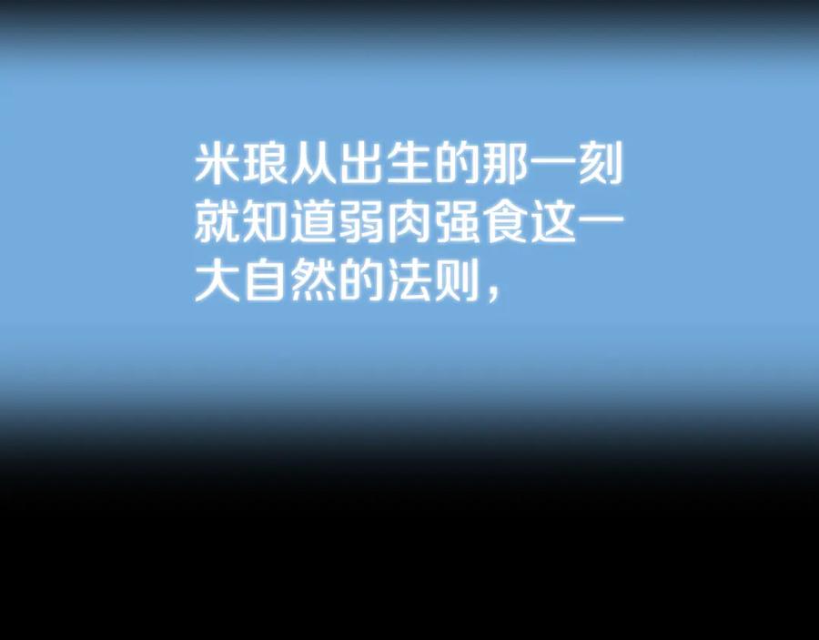 203.jpg