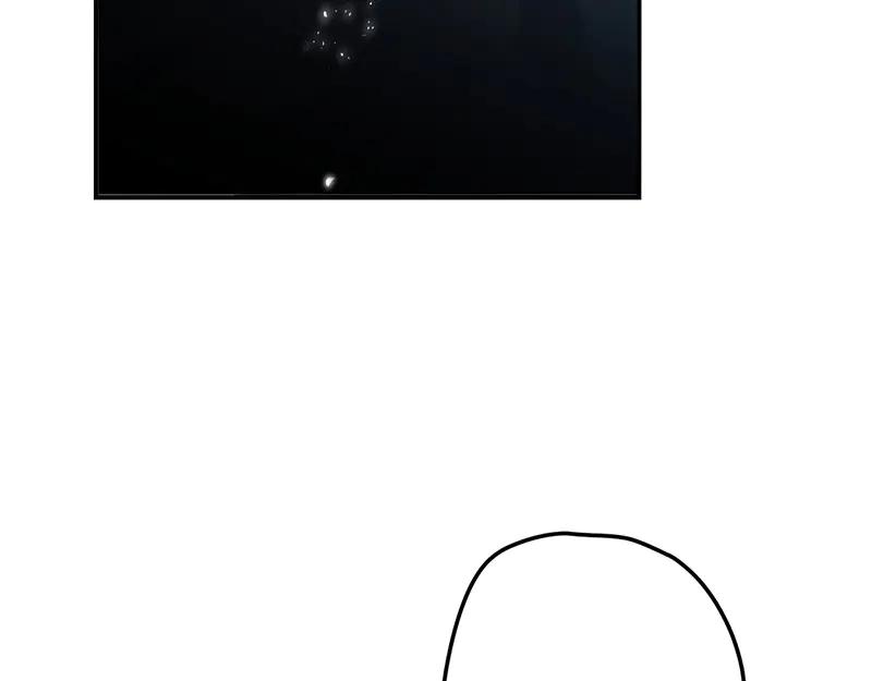 95.jpg