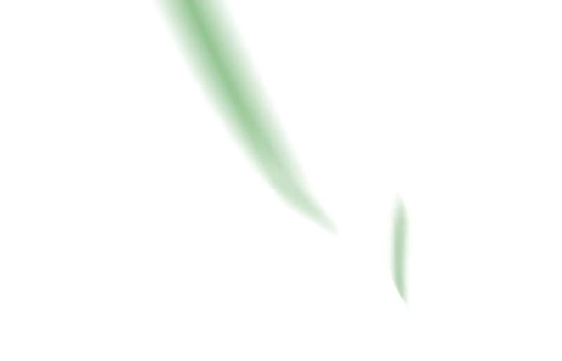 76.jpg