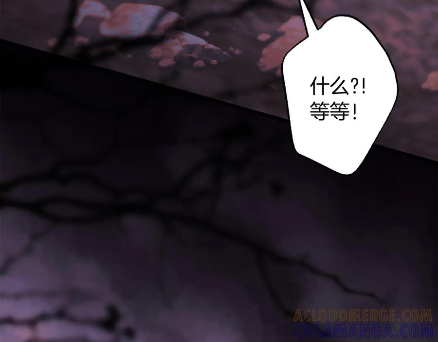 233.jpg