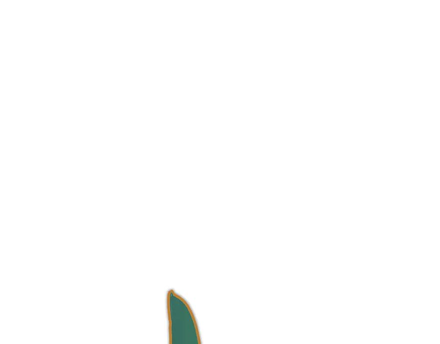 94.jpg
