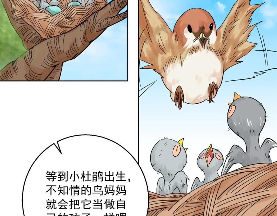 第101话登巴老师（十四）-雪山·草地·传说少年登巴的故事-大行道动漫（第16张）