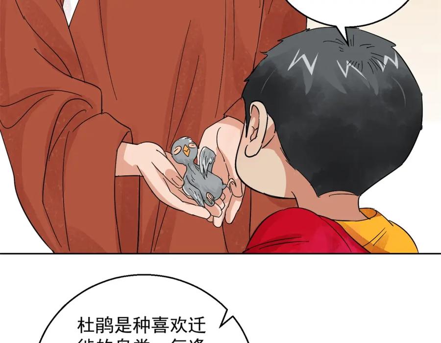 第101话登巴老师（十四）-雪山·草地·传说少年登巴的故事-大行道动漫（第14张）