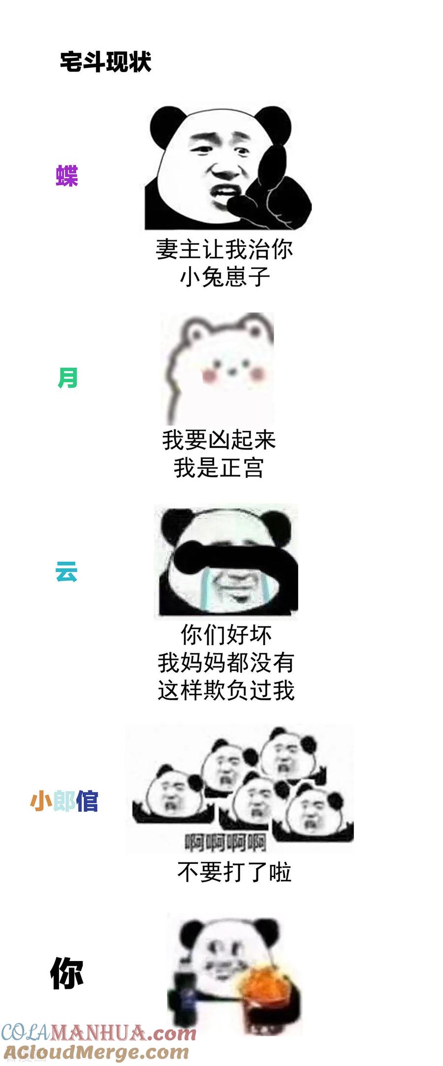41.jpg