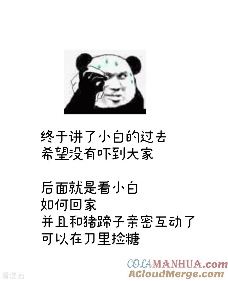 51.jpg