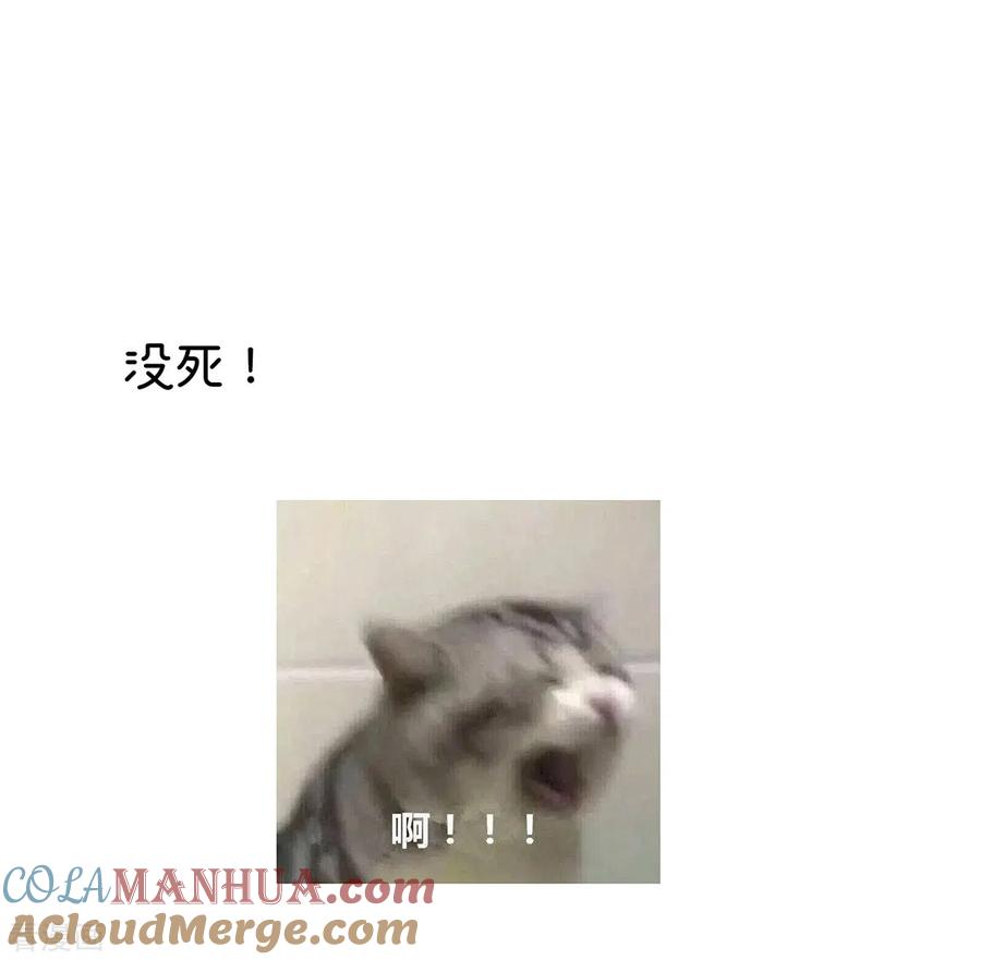 46.jpg