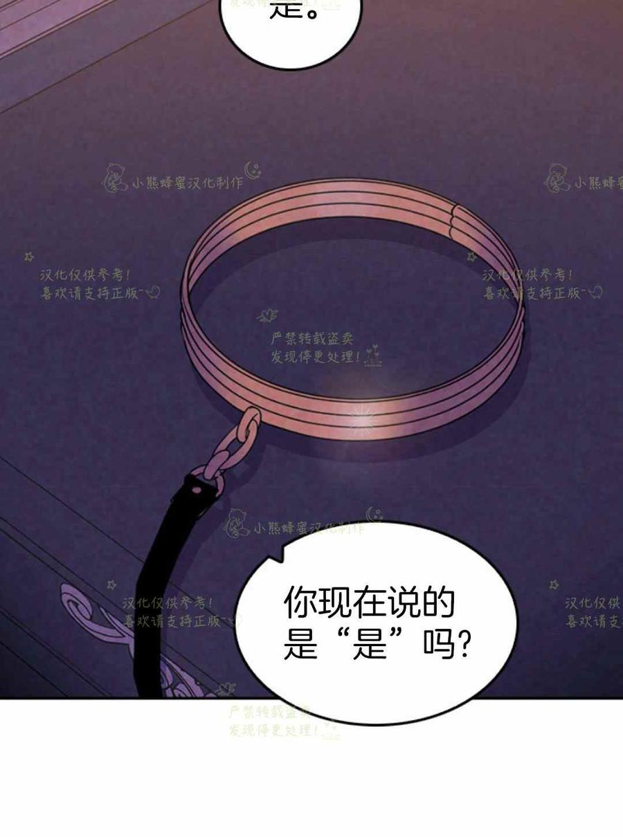 第11话-女国王和圣骑士的掠夺婚姻-匿名（第17张）