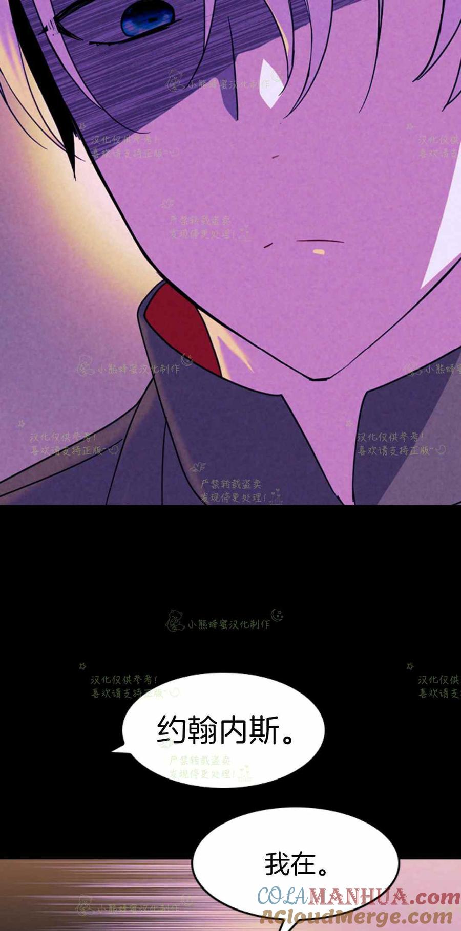 第23话-女国王和圣骑士的掠夺婚姻-匿名（第13张）