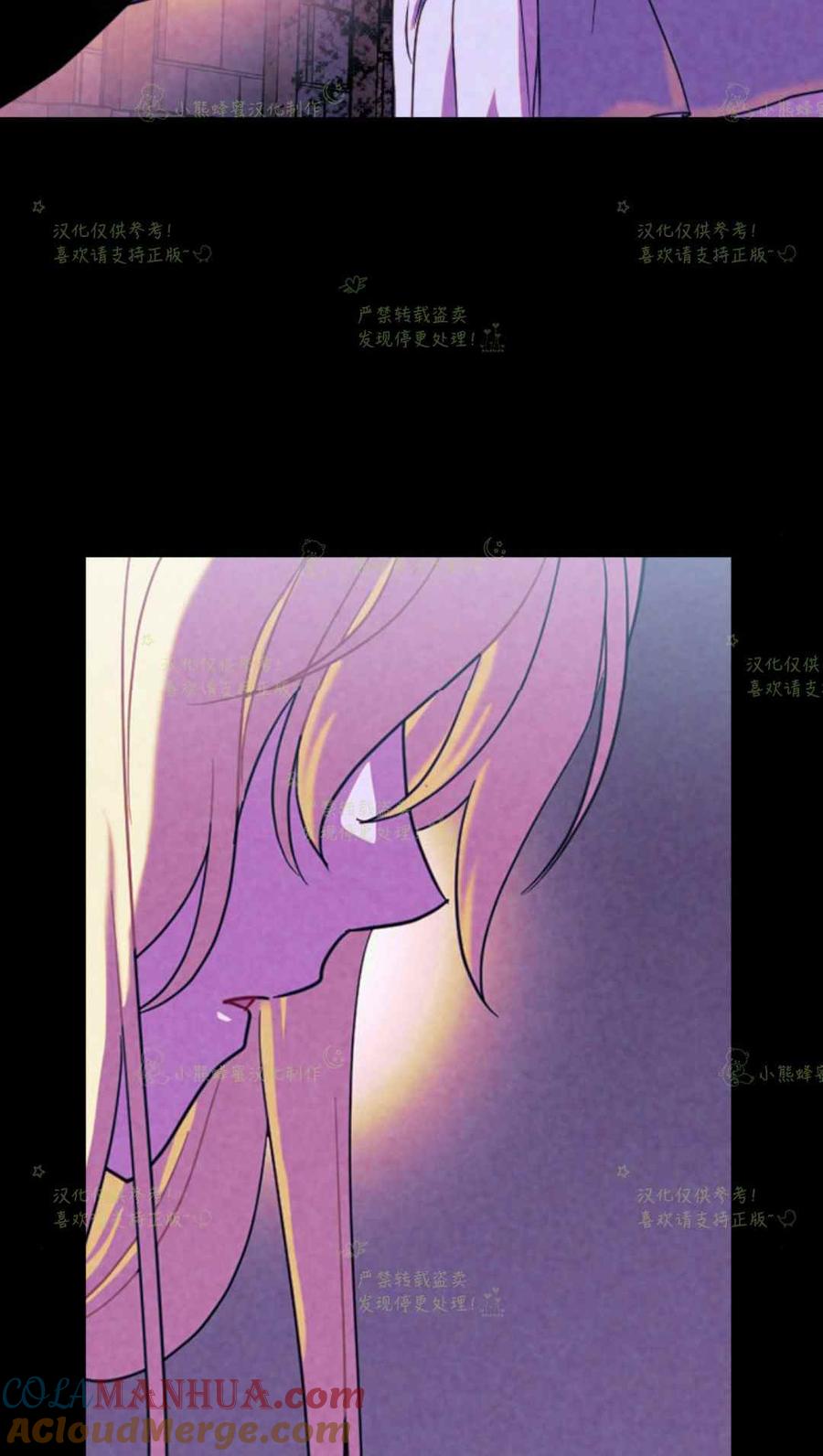 第25话-女国王和圣骑士的掠夺婚姻-匿名（第13张）