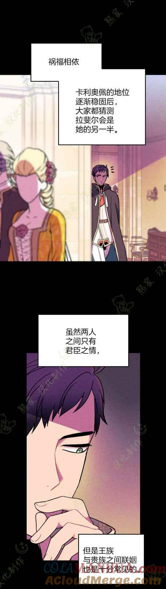 第4话-女国王和圣骑士的掠夺婚姻-匿名（第17张）