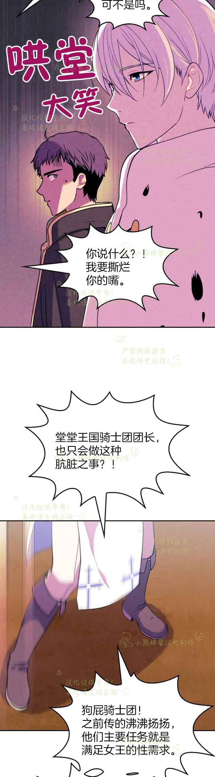第8话-女国王和圣骑士的掠夺婚姻-匿名（第9张）