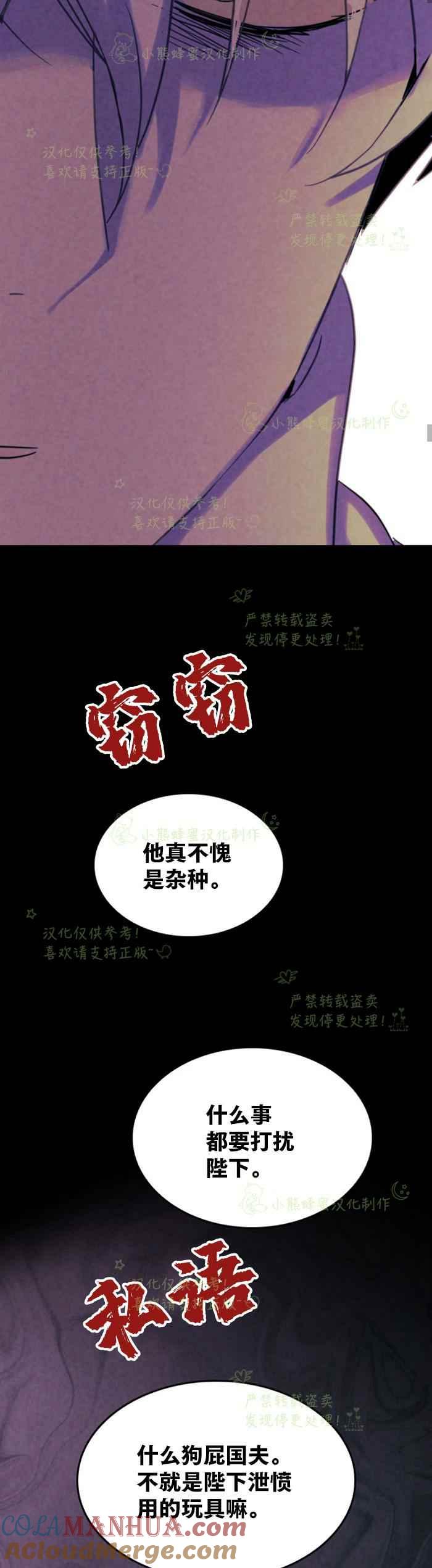 第8话-女国王和圣骑士的掠夺婚姻-匿名（第19张）