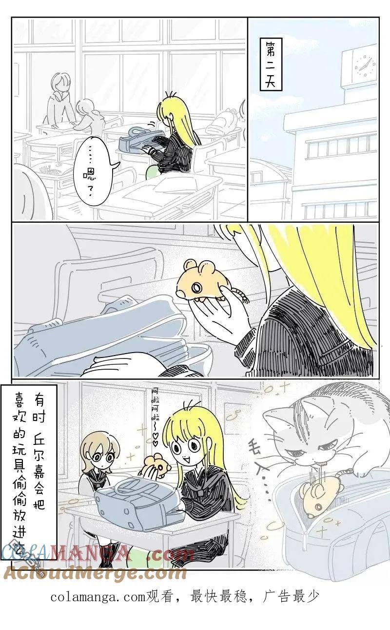 第238话-关于养猫我一直是新手-キュルZ（第3张）
