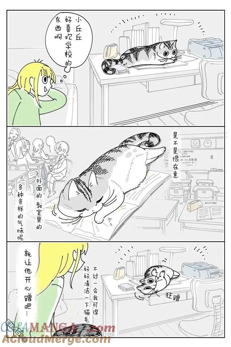 第238话-关于养猫我一直是新手-キュルZ（第2张）
