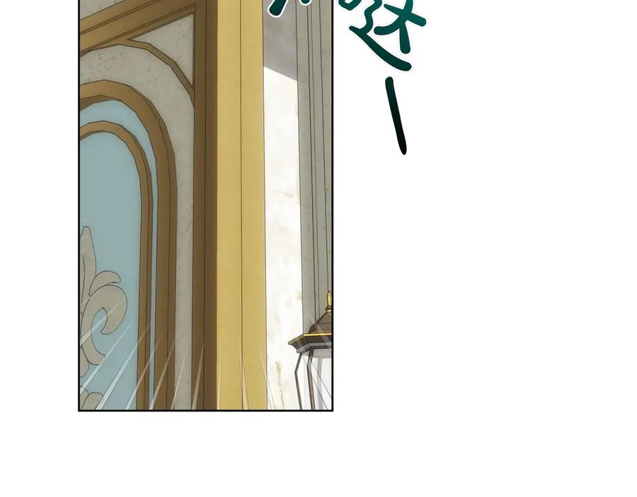 144.jpg