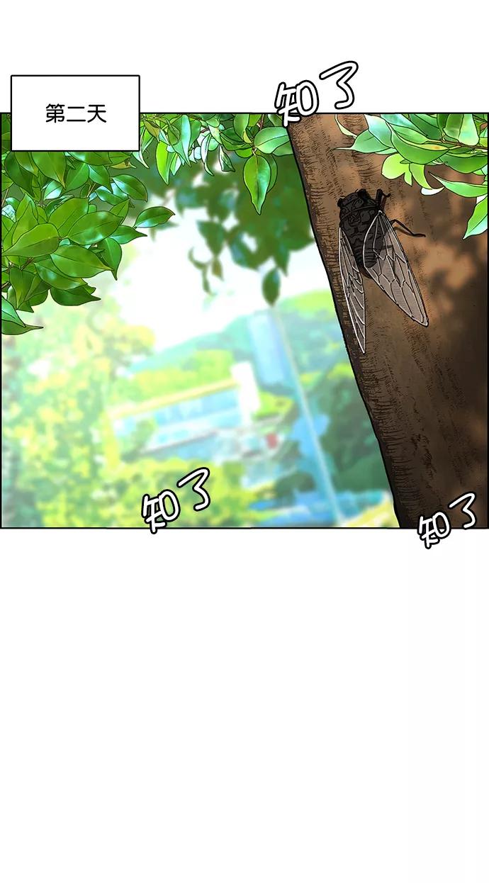 第211话-女神降临-喵喵（第11张）