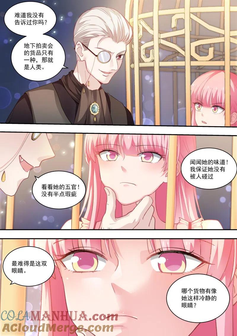 第249话我被拍卖了！-女神制造系统-三福动漫（第9张）