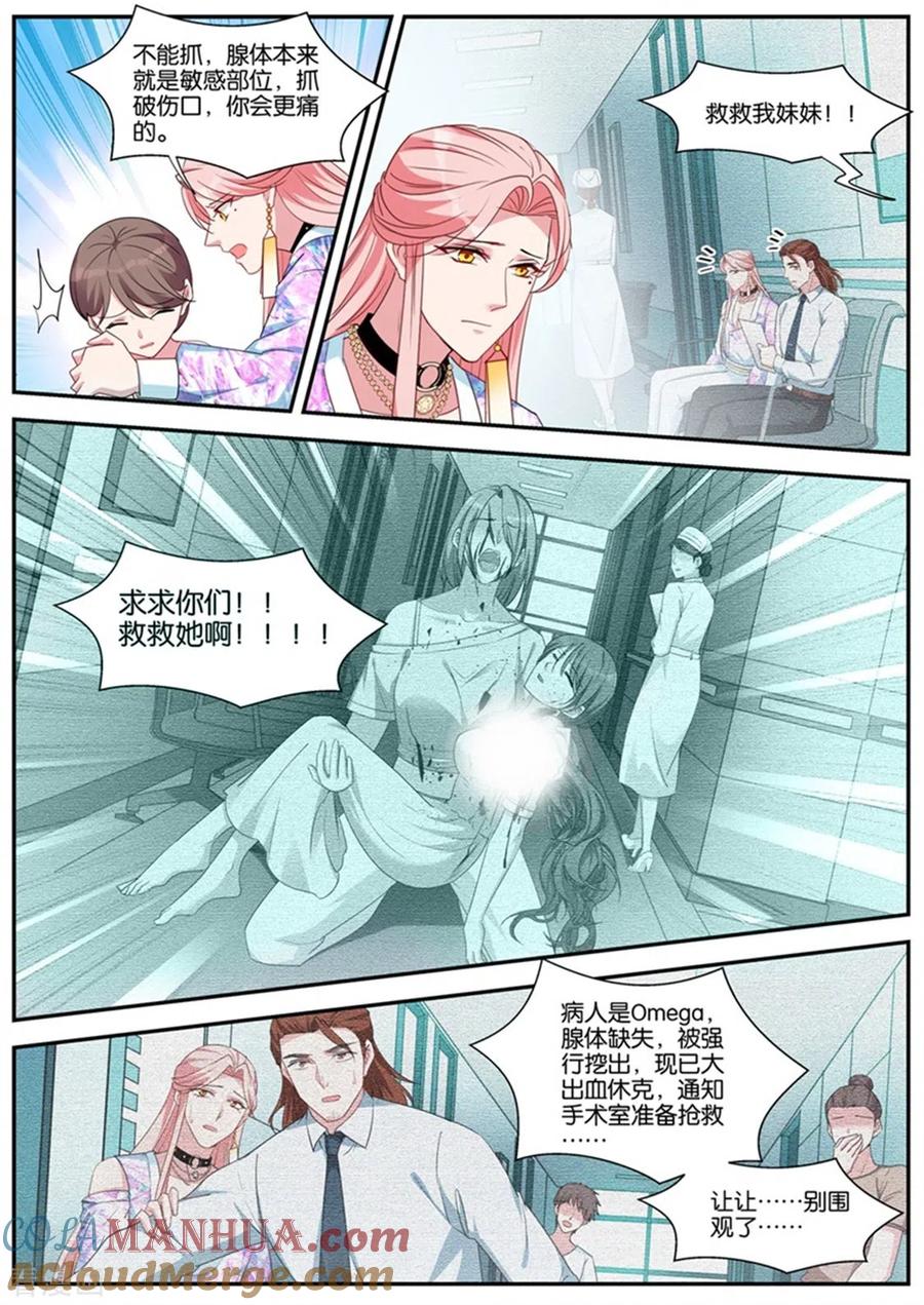 第416话目标：黑市！-女神制造系统-三福动漫（第3张）