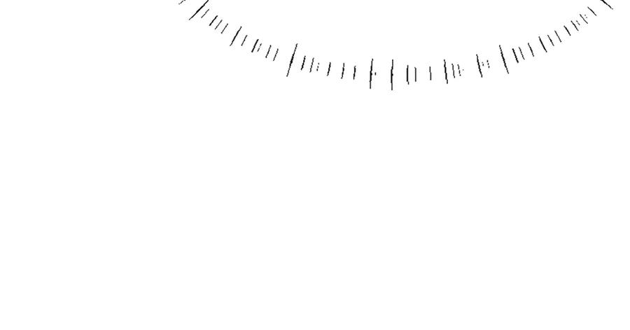134.jpg