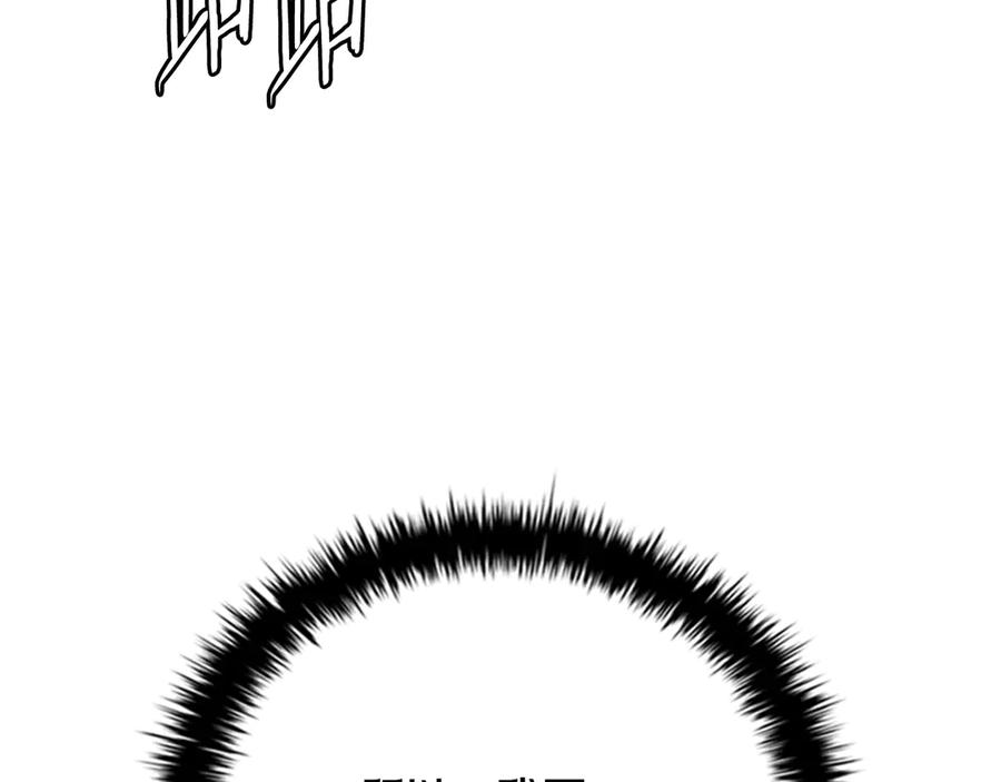 206.jpg