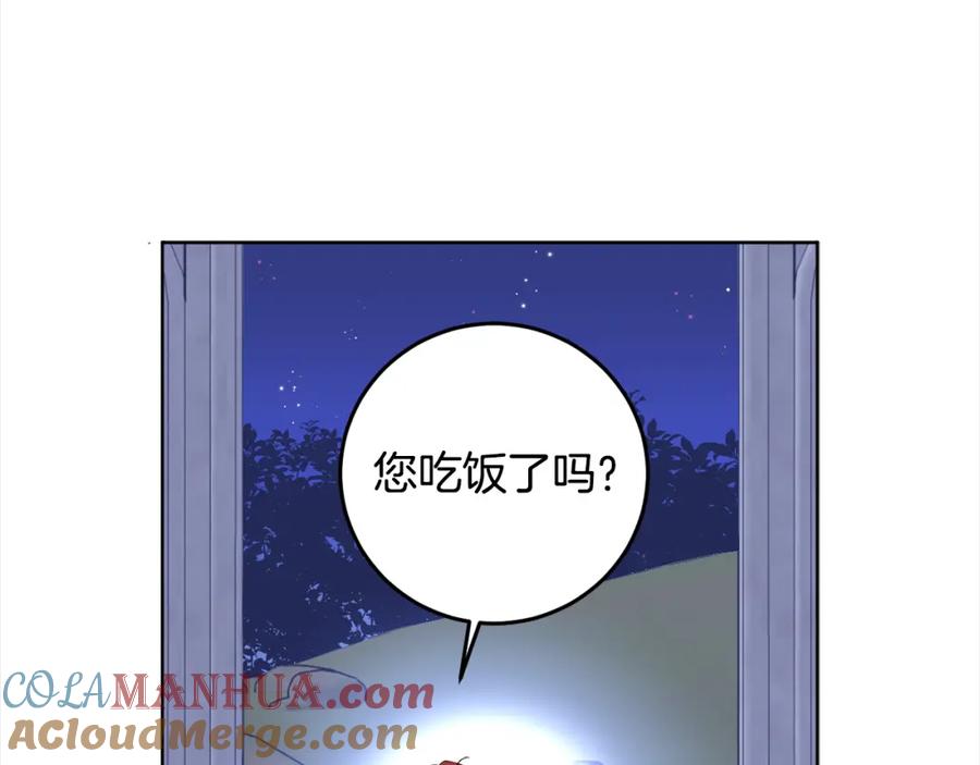 113.jpg