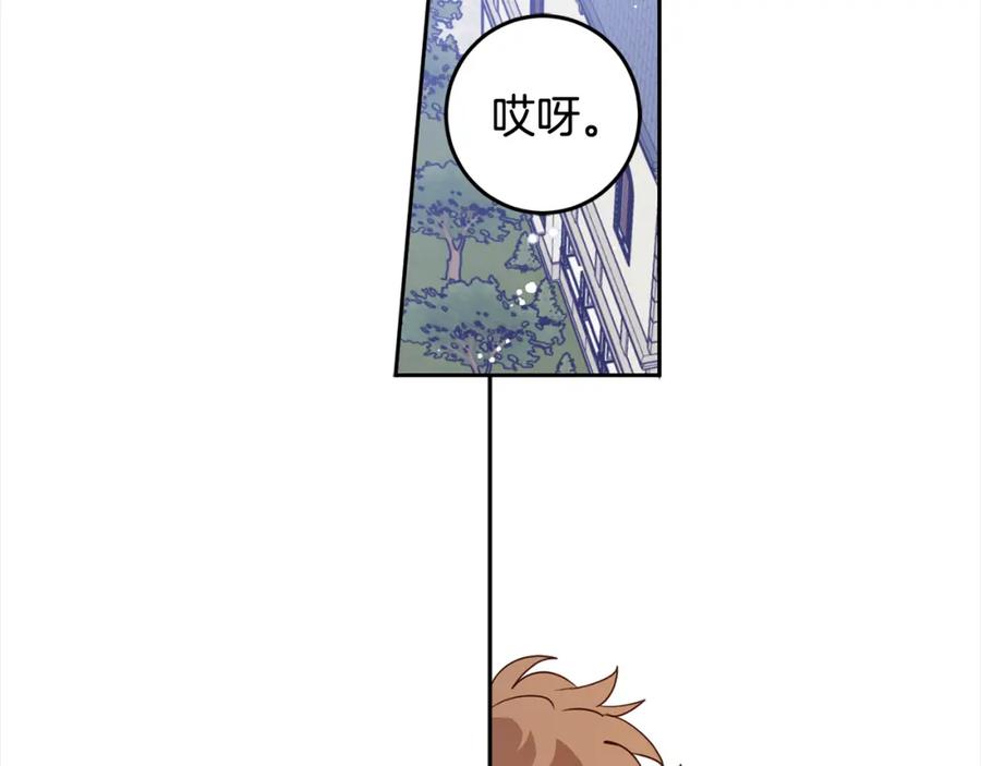 146.jpg